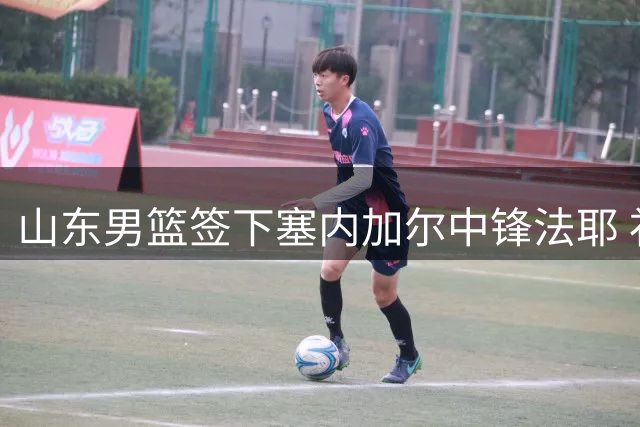山东男篮签下塞内加尔中锋法耶 补强内线剑指新赛季