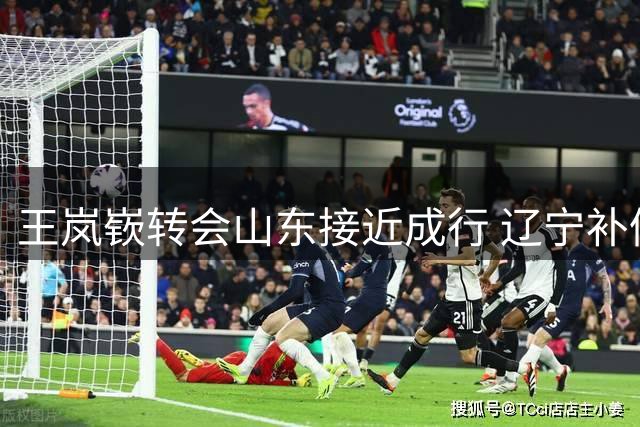王岚嵚转会山东接近成行 辽宁补偿金成最后障碍